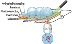 Pennwell web 450 274 Pennwell web 450 274