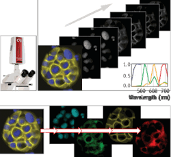 Pennwell web 450 413 Pennwell web 450 413