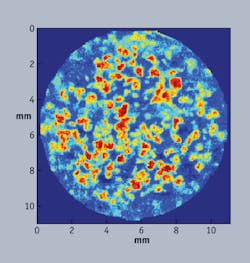 FIGURE 1. Near infrared chemical imaging can show the composition inside a pharmaceutical tablet. FIGURE 1. Near infrared chemical imaging can show the composition inside a pharmaceutical tablet.