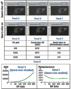 Pennwell web 500 621 Pennwell web 500 621