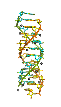 Synchrotron light identifies RNA double helix structure Laser Focus World
