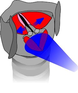 Sasse 1 Web Sasse 1 Web