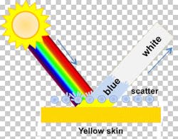 Skin Color Perception 2 Skin Color Perception 2