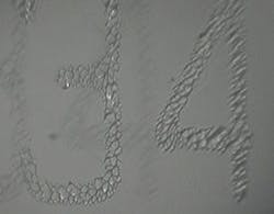 Synrad 6 Right Synrad 6 Right