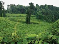 Th 0509ils Editor01 Th 0509ils Editor01