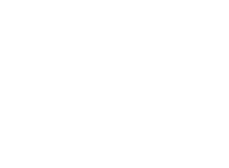 Th 0511ils Precision01