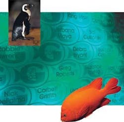 Th 0602ils Fish03 Th 0602ils Fish03