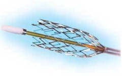 Th 0706ilscutting03 Th 0706ilscutting03