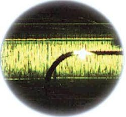 Th 0706ilscutting05 Th 0706ilscutting05