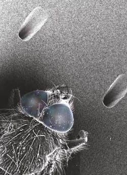 Th 0706ilsspot03 Th 0706ilsspot03