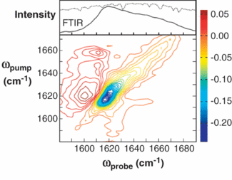 A 2-D mid-IR pulse shaper can be used to obtain improved infrared spectra of biological materials. A Fourier-transform infrared (FTIR) trace (top) is compared to a 2-D spectral plot of the fibrous structure of a polypeptide that is commonly involved with type-2 diabetes.