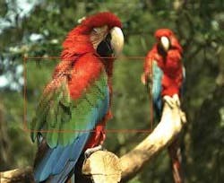 Th 0708ilsmarked01 Th 0708ilsmarked01