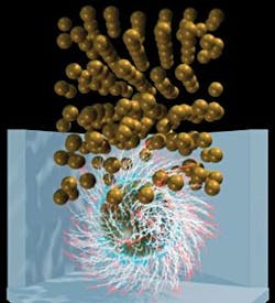 Th 0801bow Dna01 Th 0801bow Dna01