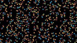 Th 0801bow Dna02 Th 0801bow Dna02