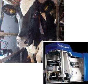 The DeLaval VMS utilizes the latest in Doppler-laser-based vision systems, RFID tracking technologies, and robotics to offer dairy cows a kinder, gentler milking experience.