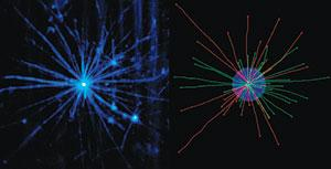 In a maximum-intensity projection of a three-dimensional SPIM data set of a microtubule aster in high-speed interphasic Xenopus laevis egg extract, the 3-D image stack contains 68 planes at 300 nm spacing. Tubulin is labeled with TAMRA. Detection is via Carl Zeiss W 100&times;/1.0 lens.