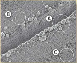 Th 0801toward01 Th 0801toward01