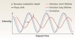 FIGURE 2. In frequency-domain FLIM, fluorescence lifetime of a region of interest can be calculated using two parameters: phase shift and decrease in modulation depth. FIGURE 2. In frequency-domain FLIM, fluorescence lifetime of a region of interest can be calculated using two parameters: phase shift and decrease in modulation depth.