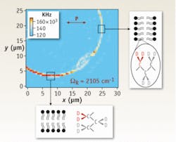 FIGURE 4. Rigneault and coworkers are investigating polarization effects in multiplex CARS. In this CARS image of a GUV (giant unilamelar vesicle) made with deuterated lipids, the contrast of the lipid membrane is maximum when the polarization of the incoming lasers is aligned along the C-D bond. FIGURE 4. Rigneault and coworkers are investigating polarization effects in multiplex CARS. In this CARS image of a GUV (giant unilamelar vesicle) made with deuterated lipids, the contrast of the lipid membrane is maximum when the polarization of the incoming lasers is aligned along the C-D bond.