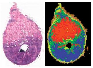 Th 0803bow Opticaldiag