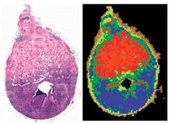 Th 0803bow Opticaldiag Th 0803bow Opticaldiag