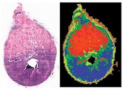 Th 0803bow Opticaldiag Th 0803bow Opticaldiag