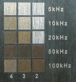 Th 0803ornamental06 Th 0803ornamental06