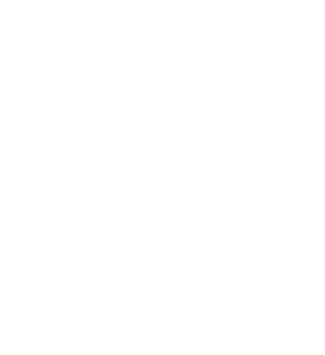 Th 0804ilsautomobile01