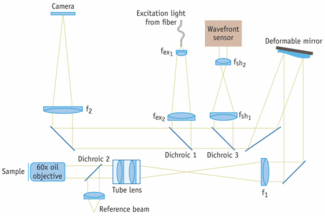 Adaptive Optics Takes Tissue Imaging To The Next Level | Laser Focus World