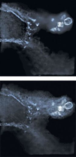 Th 0805bow Feat04 03 Th 0805bow Feat04 03