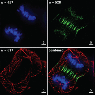 Th 0805bow Feat05 01