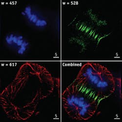 Th 0805bow Feat05 01 Th 0805bow Feat05 01