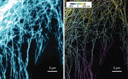 A 2-D fluorescence image (left) of microtubules and the corresponding 3-D STORM image (right), are shown with z coded in color. A 2-D fluorescence image (left) of microtubules and the corresponding 3-D STORM image (right), are shown with z coded in color.