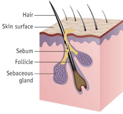 Th 0805bow News02 Th 0805bow News02
