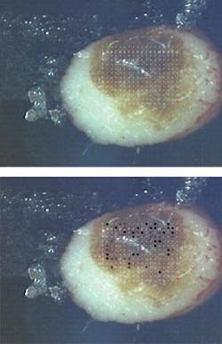 Th 0805bow News04 Th 0805bow News04