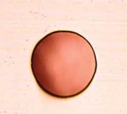 FIGURE 3d. Laser drilled stainless steel after electropolishing. FIGURE 3d. Laser drilled stainless steel after electropolishing.