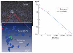 Th 0807bow Beyond01 Th 0807bow Beyond01