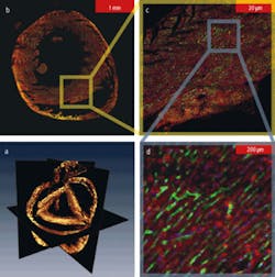 Th 0807bow Beyond02 Th 0807bow Beyond02