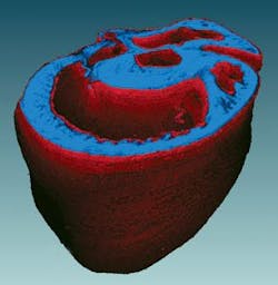 Th 0807bow Beyond03 Th 0807bow Beyond03