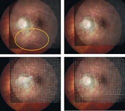 Th 0807bow Distinguishing01 Th 0807bow Distinguishing01