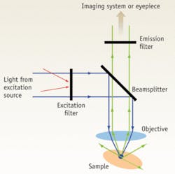 In a fluorescence microscopy system the excitation filter blocks all wavelengths except that of the excitation source, while the emission filter transmits only the desired emission range. A dichroic beamsplitter keeps the two channels separate. An objective simultaneously focuses the excitation source onto the sample and collects the fluorescence signal.