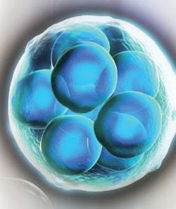 Th 0809bow Nir00 Th 0809bow Nir00