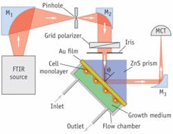 Th 0809bow Spr01 Th 0809bow Spr01