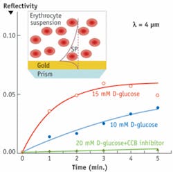 Th 0809bow Spr03 Th 0809bow Spr03