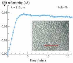 Th 0809bow Spr04 Th 0809bow Spr04