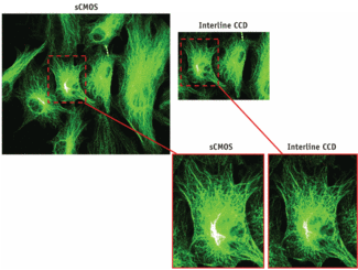 Scientific CMOS (sCMOS) requires no tradeoff between high resolution and a large field of view, and thus competes favorably with current standard technologies for demanding scientific applications.