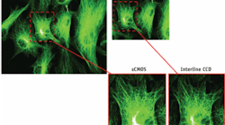 Scientific CMOS (sCMOS) requires no tradeoff between high resolution and a large field of view, and thus competes favorably with current standard technologies for demanding scientific applications. Scientific CMOS (sCMOS) requires no tradeoff between high resolution and a large field of view, and thus competes favorably with current standard technologies for demanding scientific applications.