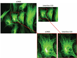 Scientific CMOS (sCMOS) requires no tradeoff between high resolution and a large field of view, and thus competes favorably with current standard technologies for demanding scientific applications. Scientific CMOS (sCMOS) requires no tradeoff between high resolution and a large field of view, and thus competes favorably with current standard technologies for demanding scientific applications.