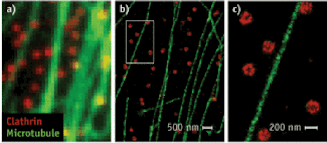 Conventional images of microtubules and clathrin-coated pits (CCPs) in a cell (a) lack the resolution provided by STORM (b and c). Microtubules (green) and clathrin (red) were stained with labeled antibodies.