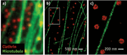 Conventional images of microtubules and clathrin-coated pits (CCPs) in a cell (a) lack the resolution provided by STORM (b and c). Microtubules (green) and clathrin (red) were stained with labeled antibodies.